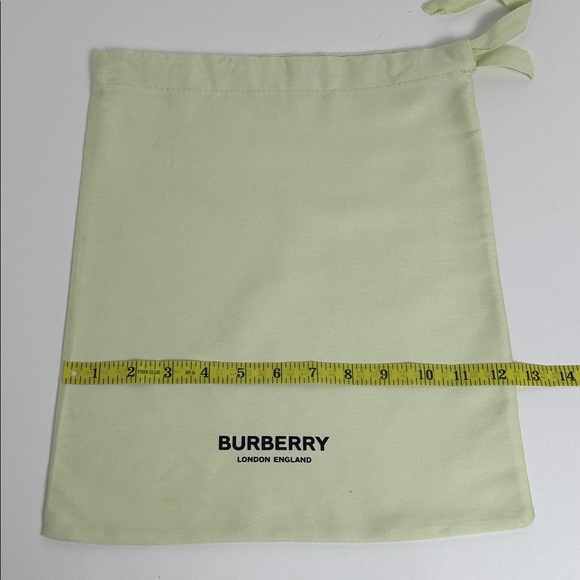 Burberry Luxury Light green Storage Dust Bag - Picture 1 of 5